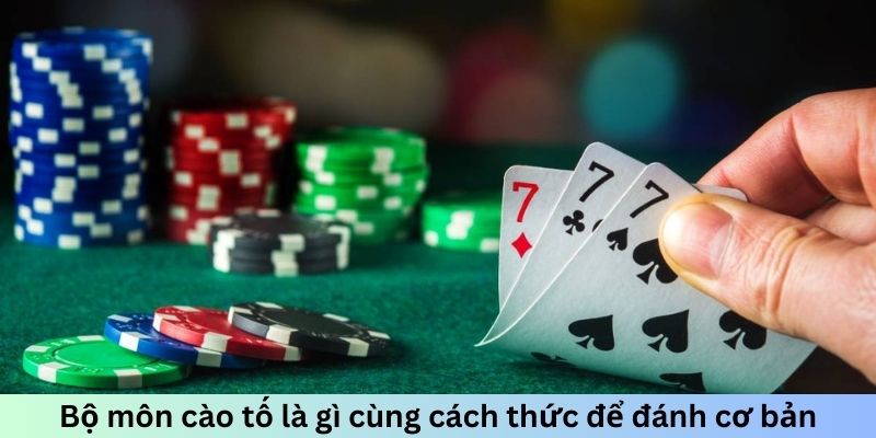 Bộ môn cào tố là gì cùng cách thức để đánh cơ bản